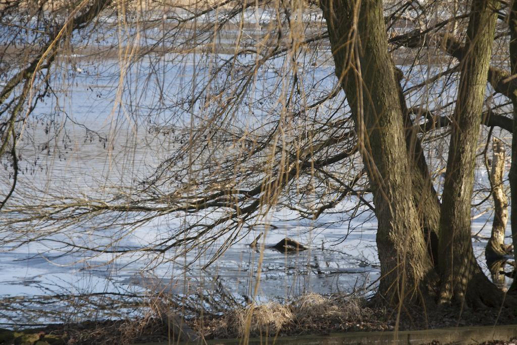 Villa Weissensee Potsdam Ngoại thất bức ảnh